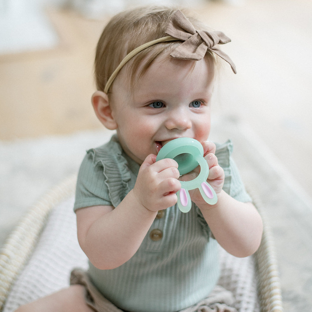 Baby Fruit Feeder Soft Silicone Food Nibbler Bunny Teether Set