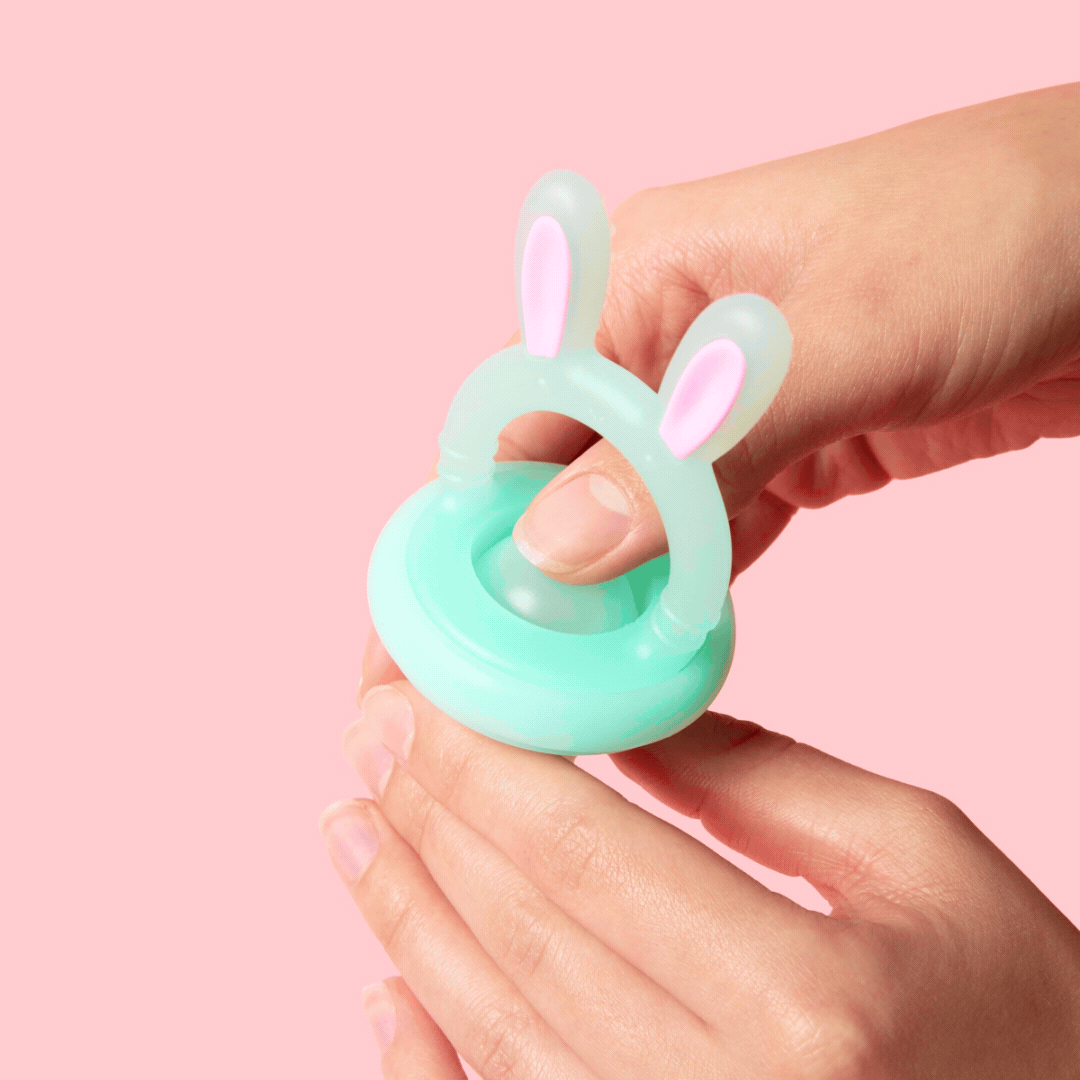 Baby Fruit Feeder Soft Silicone Food Nibbler Bunny Teether Set